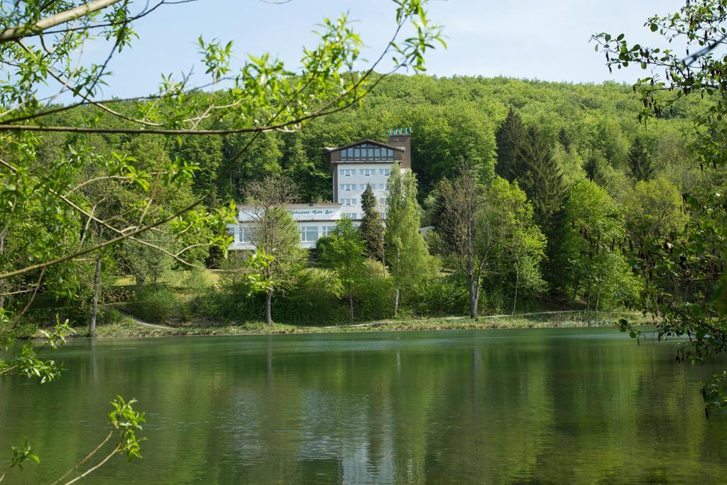 Hotel Reifenstein Kleinbartloff Екстер'єр фото